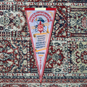 EJERCICIO CONFRATERNIDAD DE LAS CIAS DE BOMBEROS DE BALNEARIOS